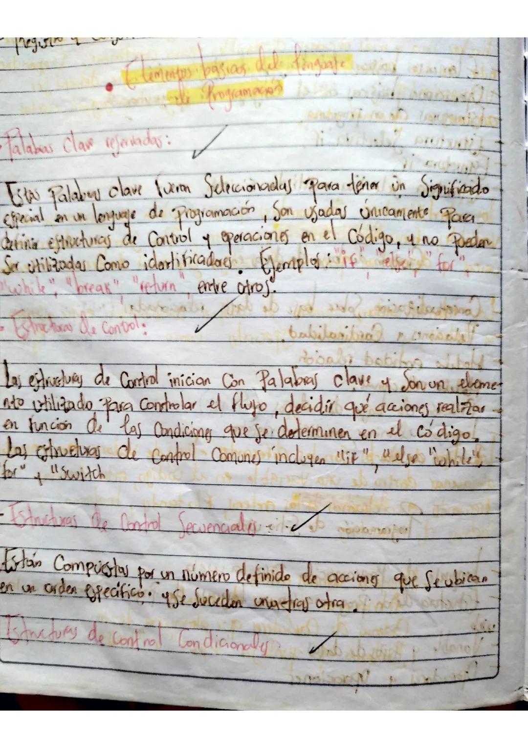 elementos del lenguaje de programación 