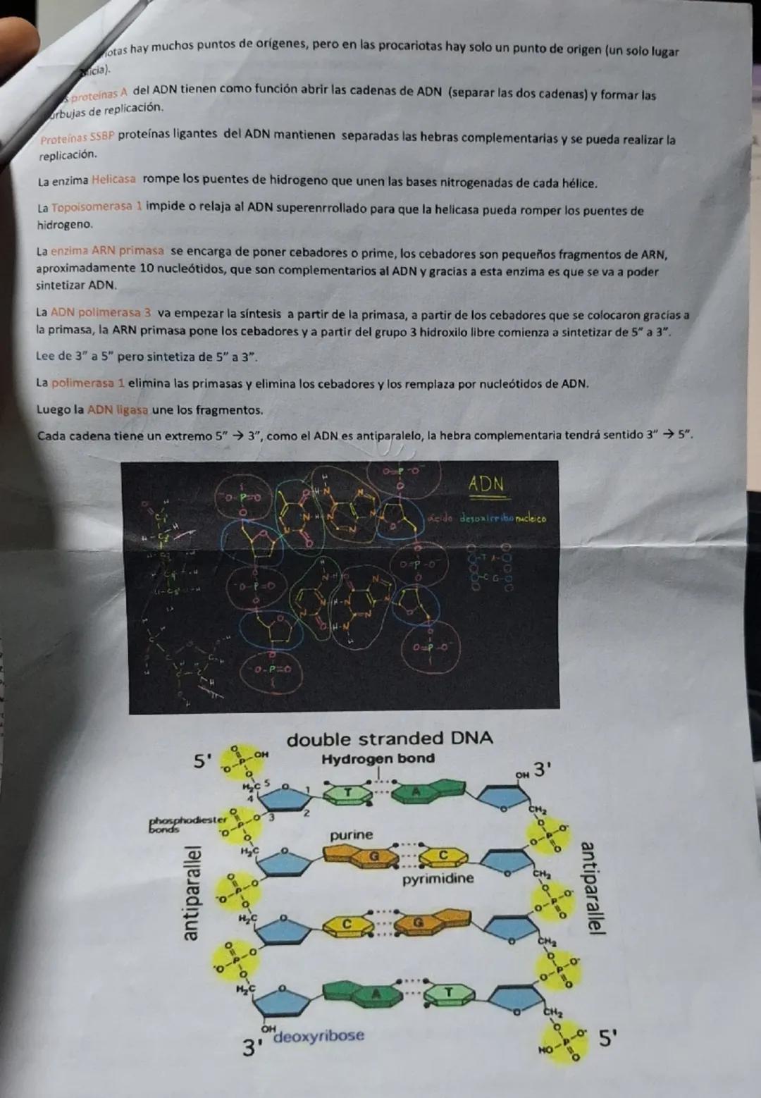 ADN: EL MATERIAL GENÉTICO
Los seres vivos tienen la capacidad de reproducirse transmitiendo información de una generación a otra, gracias a 