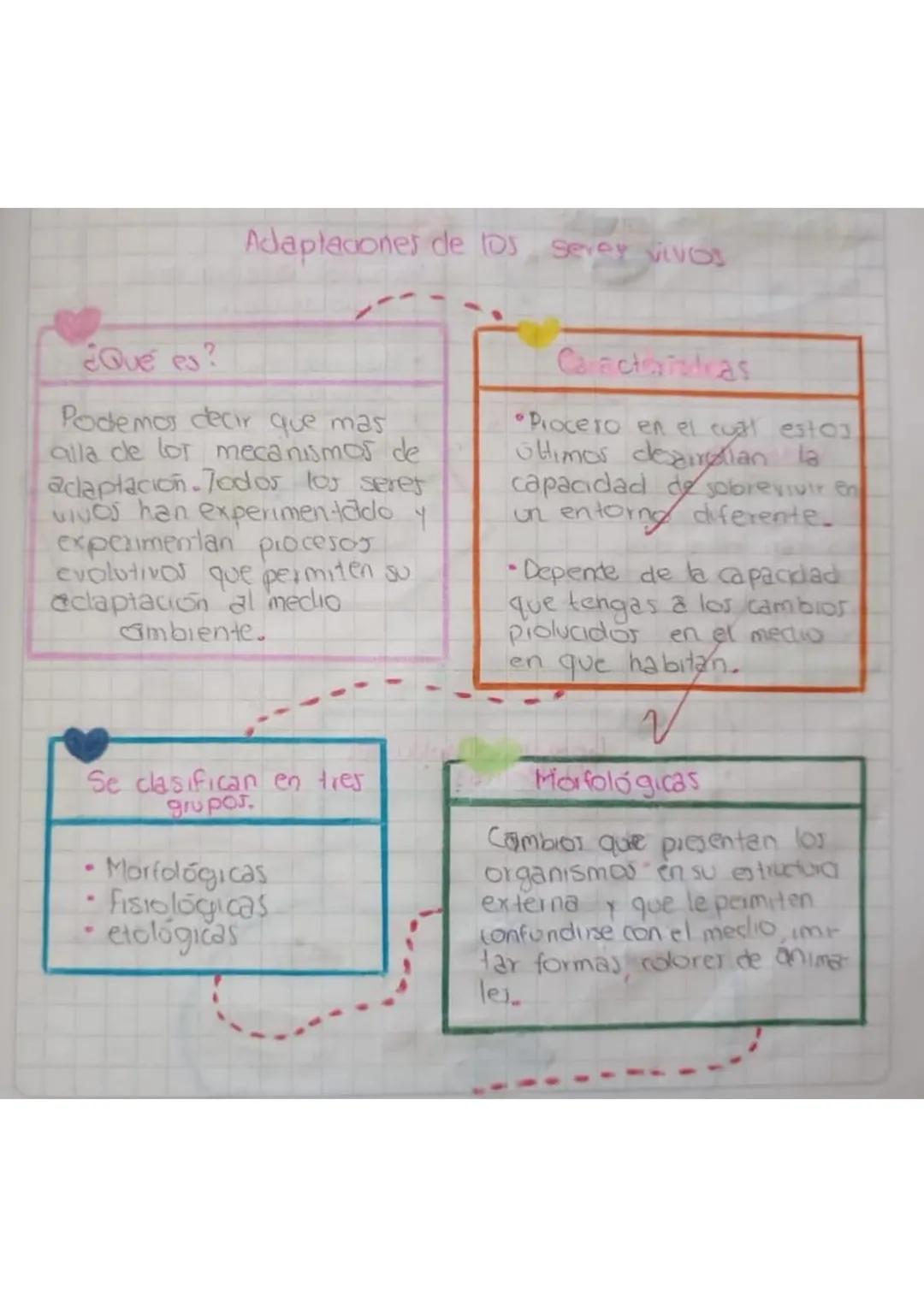 Adaptaciones de los serey vivos
¿Qué es?
Podemos decir que mas
alla de lor mecanismos de
adaptación. Todos los seret
VINOS han experimentado