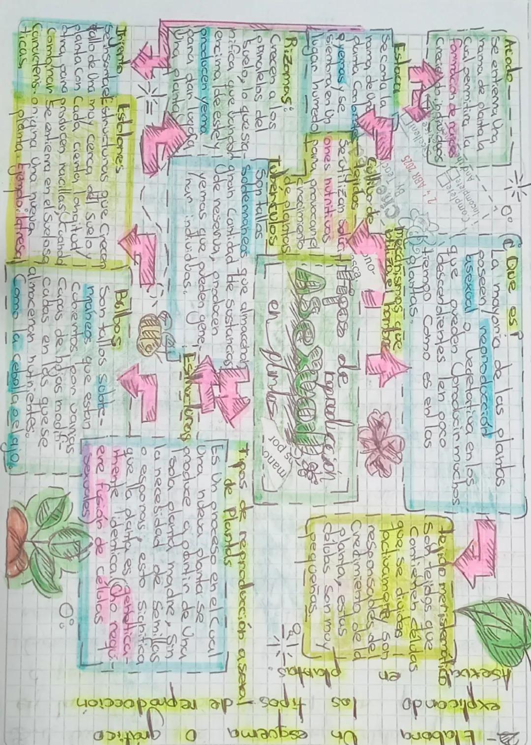 ## Acode-

Se entiende una
parte de planta la
Cual permitirá la
formación de nuevas
Creciendo de

¿Que es?

Poseen reproducción
asexual o ve