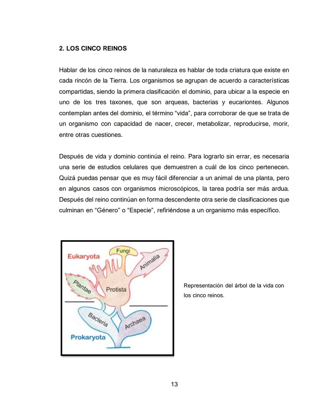 LOS REINOS DE LA NATURALEZA
XXXXXXXXXXX
XXXXXXXXXXXX
ÁREA: CIENCIAS NATURALES
ASIGNATURA: BIOLOGÍA
XXXXXXXXXXXXXXXXXXXX
11A
XXXXXXXXXXX
XXX 