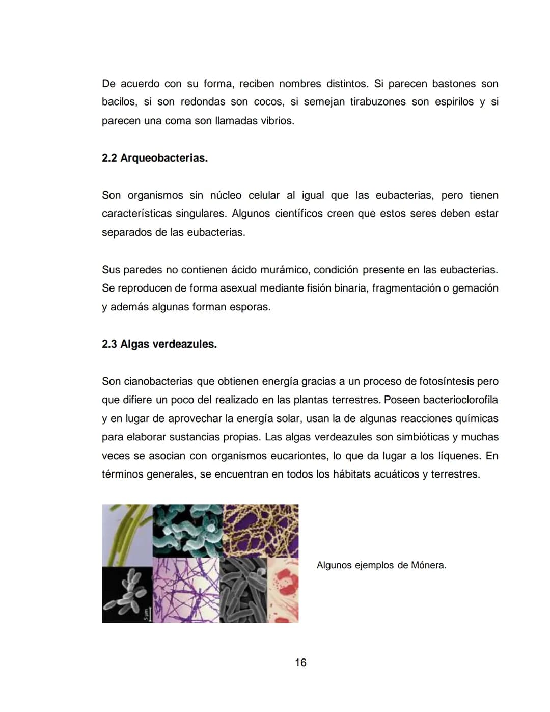 LOS REINOS DE LA NATURALEZA
XXXXXXXXXXX
XXXXXXXXXXXX
ÁREA: CIENCIAS NATURALES
ASIGNATURA: BIOLOGÍA
XXXXXXXXXXXXXXXXXXXX
11A
XXXXXXXXXXX
XXX 