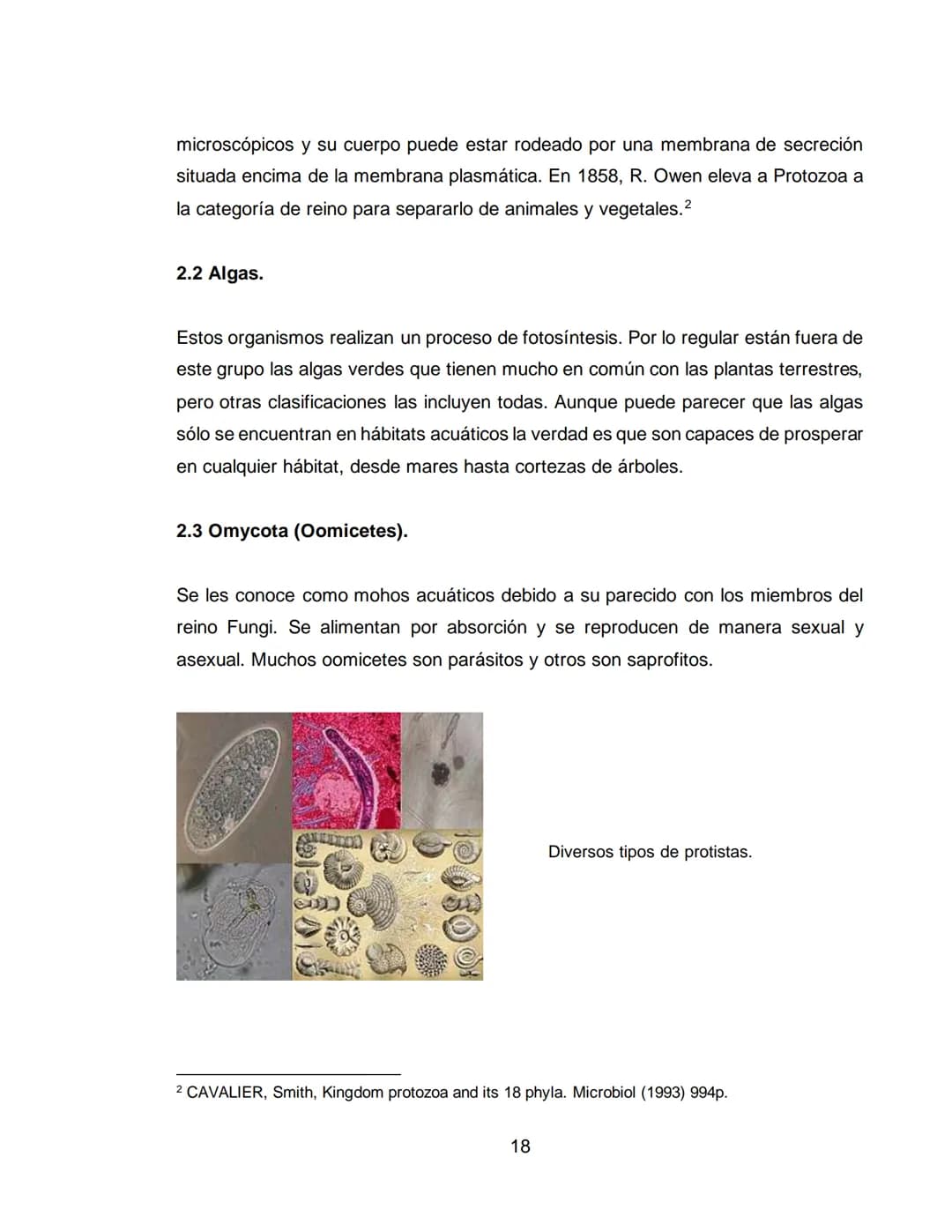 LOS REINOS DE LA NATURALEZA
XXXXXXXXXXX
XXXXXXXXXXXX
ÁREA: CIENCIAS NATURALES
ASIGNATURA: BIOLOGÍA
XXXXXXXXXXXXXXXXXXXX
11A
XXXXXXXXXXX
XXX 
