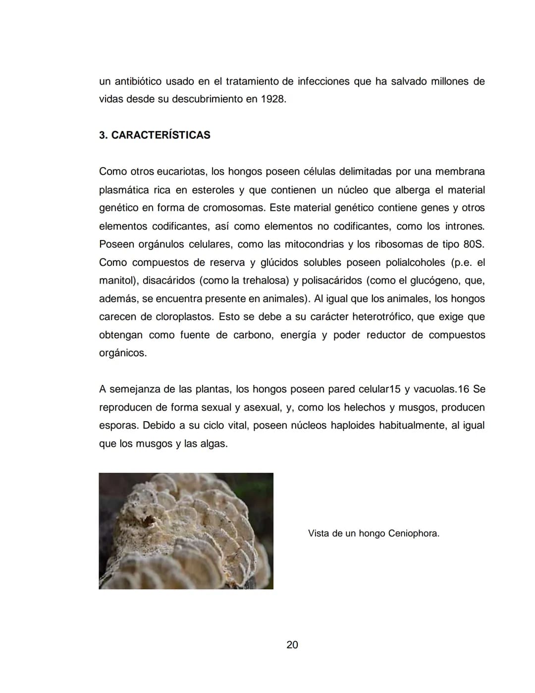 LOS REINOS DE LA NATURALEZA
XXXXXXXXXXX
XXXXXXXXXXXX
ÁREA: CIENCIAS NATURALES
ASIGNATURA: BIOLOGÍA
XXXXXXXXXXXXXXXXXXXX
11A
XXXXXXXXXXX
XXX 