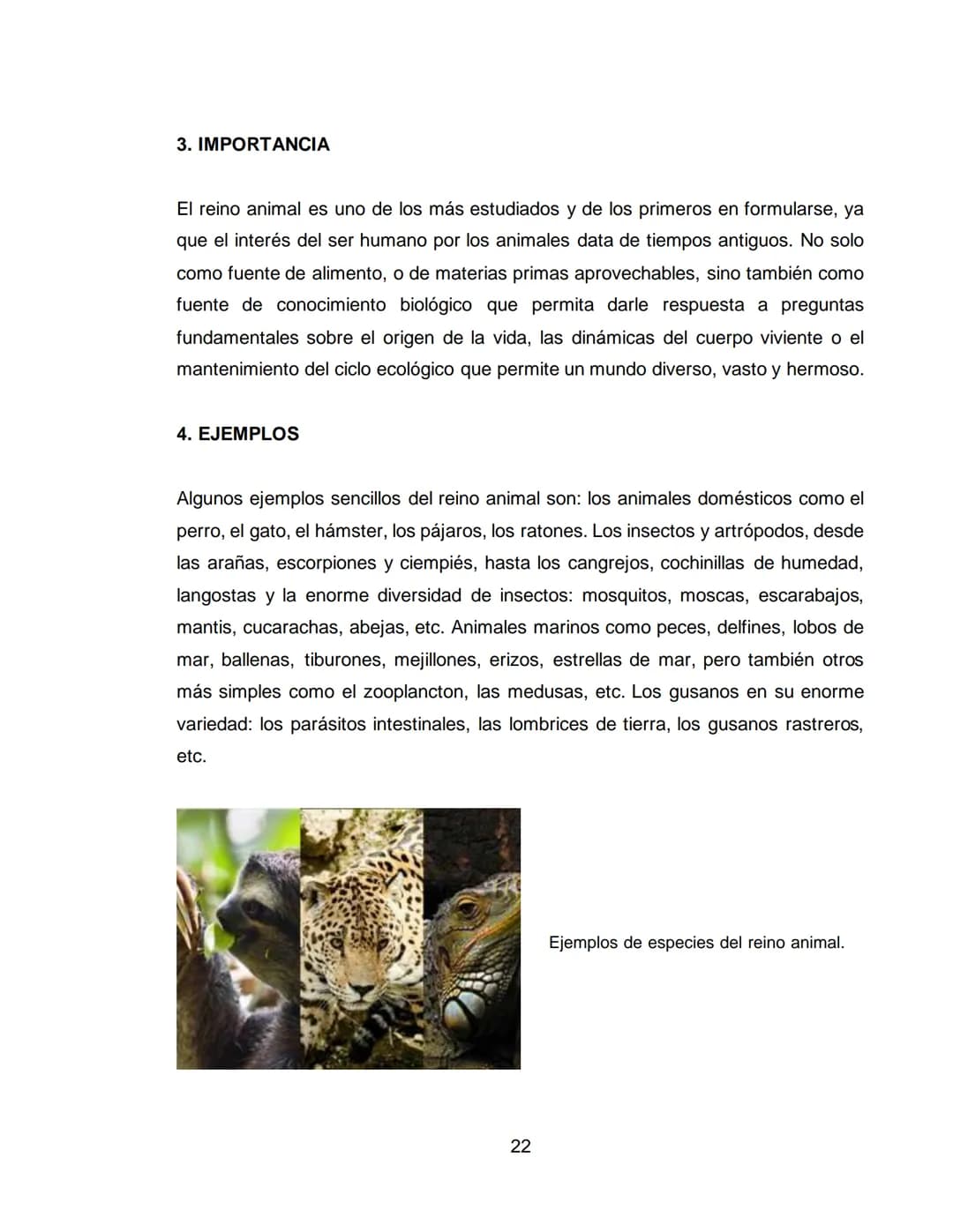 LOS REINOS DE LA NATURALEZA
XXXXXXXXXXX
XXXXXXXXXXXX
ÁREA: CIENCIAS NATURALES
ASIGNATURA: BIOLOGÍA
XXXXXXXXXXXXXXXXXXXX
11A
XXXXXXXXXXX
XXX 
