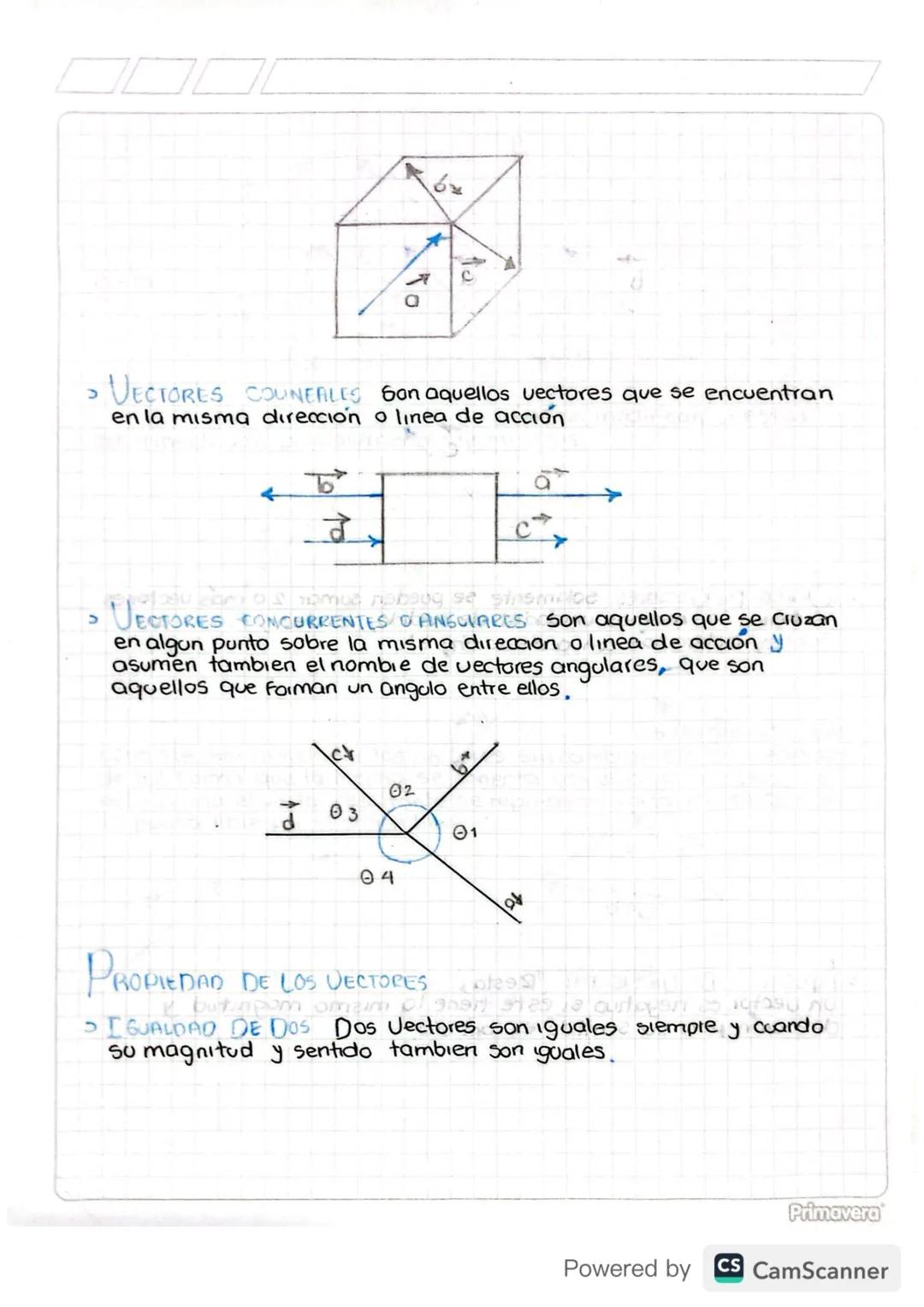 1,5314-106=1531400

VECTORES

Marza
06

MAGNITUD ESCALAR Es aquella magnitud que no posee dirección
ni sentido, es decir, es aquella magnitu