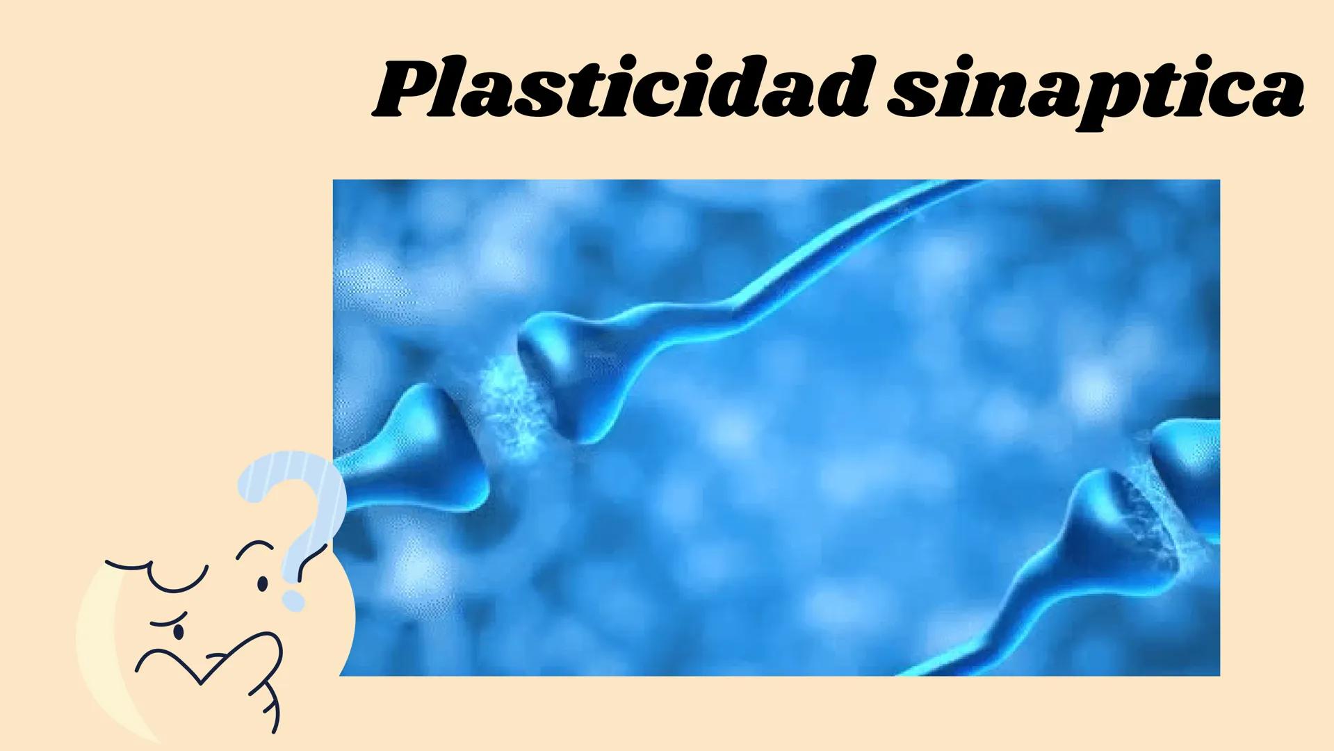 SINAPSIS # ¿Qué es?

Sinapsis

F
I
S
I
O # ¿Como se da?

Potencial de acción

Célula presináptica
(emisora)

SINAPSIS

Célula postsináptica

