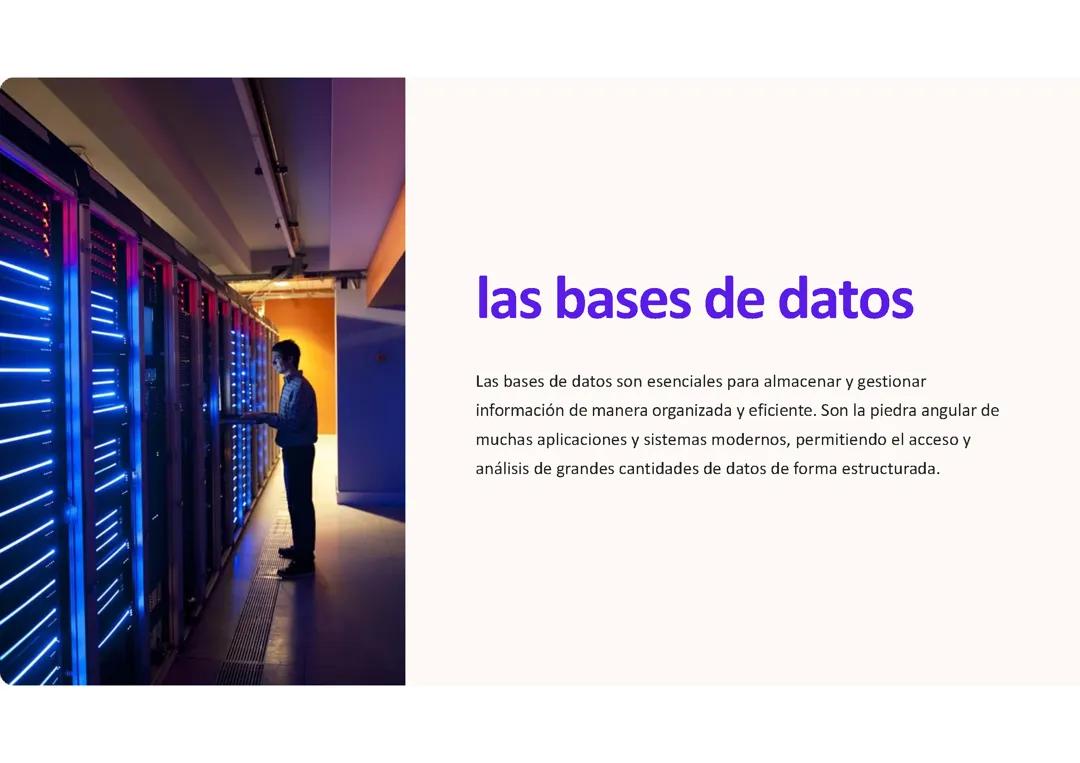 Bases de Datos: 