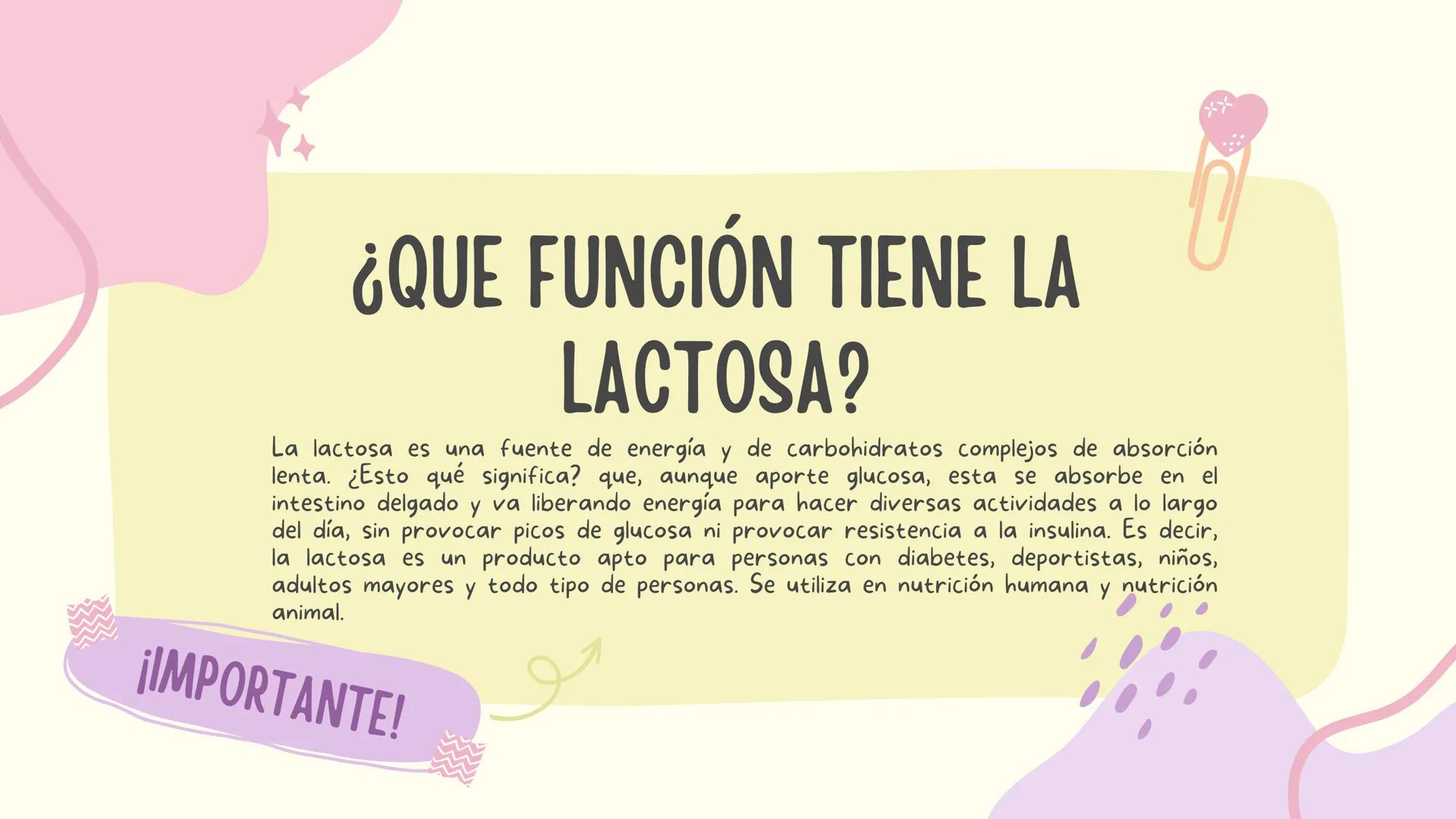 LACTOSA
GRUPO 4 ¿QUE FUNCIÓN TIENE LA
LACTOSA?
La lactosa es una fuente de energía y de carbohidratos complejos de absorción
lenta. ¿Esto qu
