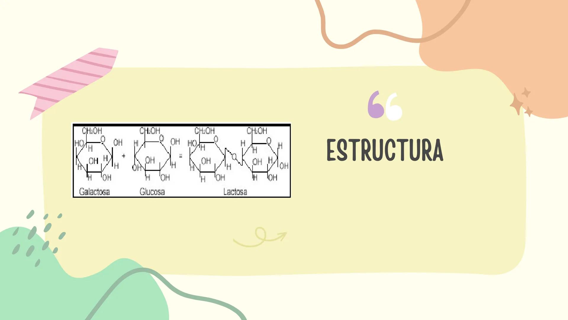 LACTOSA
GRUPO 4 ¿QUE FUNCIÓN TIENE LA
LACTOSA?
La lactosa es una fuente de energía y de carbohidratos complejos de absorción
lenta. ¿Esto qu