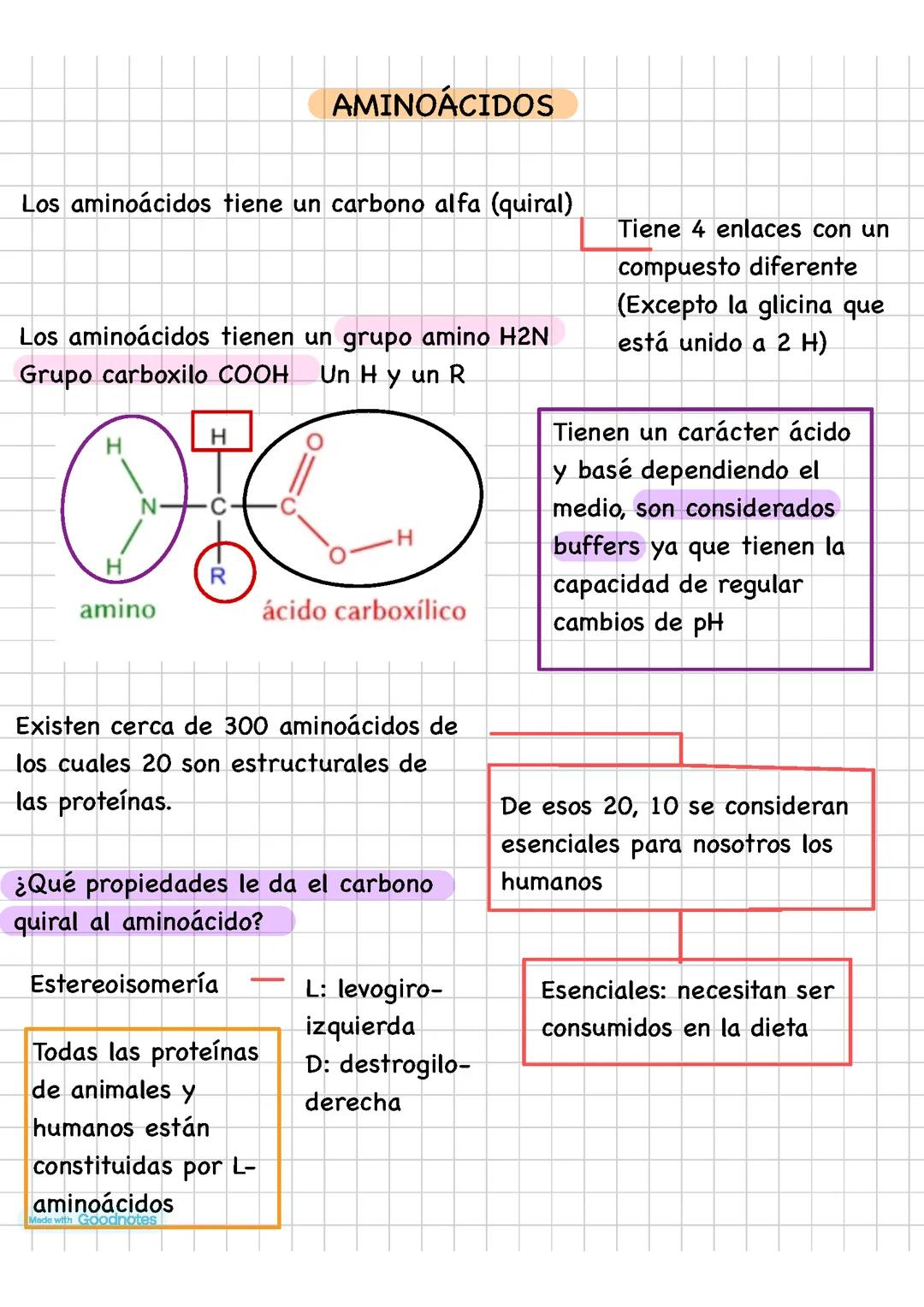 Descubre los Aminoácidos: Qué son y Para Qué Sirven