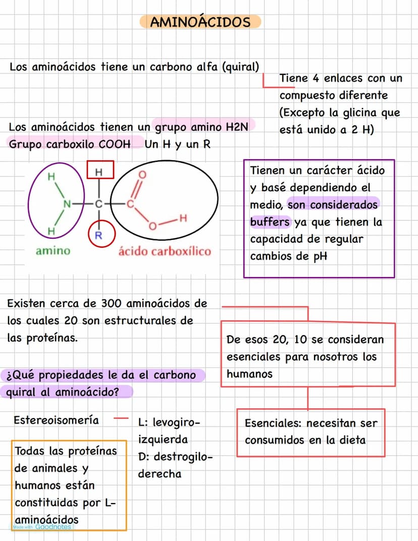 AMINOÁCIDOS
Los aminoácidos tiene un carbono alfa (quiral)
Los aminoácidos tienen un grupo amino H2N
Grupo carboxilo COOH Un H y un R
H
H
OT