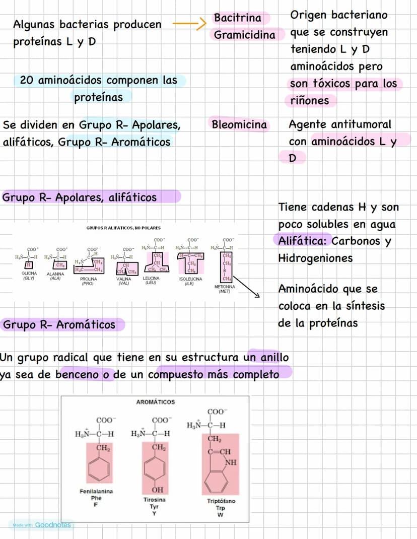 AMINOÁCIDOS
Los aminoácidos tiene un carbono alfa (quiral)
Los aminoácidos tienen un grupo amino H2N
Grupo carboxilo COOH Un H y un R
H
H
OT