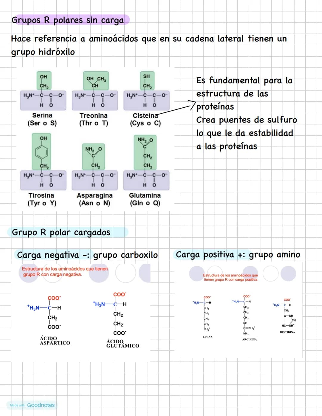AMINOÁCIDOS
Los aminoácidos tiene un carbono alfa (quiral)
Los aminoácidos tienen un grupo amino H2N
Grupo carboxilo COOH Un H y un R
H
H
OT