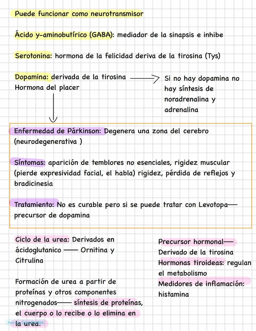 AMINOÁCIDOS
Los aminoácidos tiene un carbono alfa (quiral)
Los aminoácidos tienen un grupo amino H2N
Grupo carboxilo COOH Un H y un R
H
H
OT