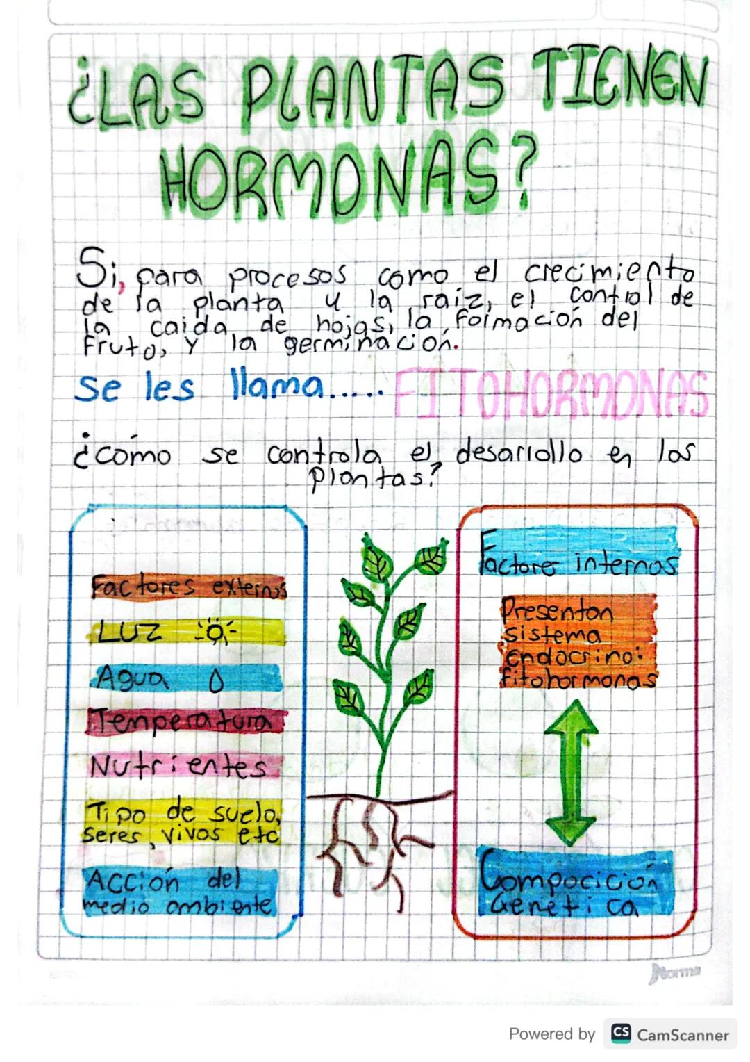 # ¿LAS PLANTAS TIENEN
HORMONAS?

Si, para procesos como el crecimiento
de la planta y la saiz, el contiol de
la caida de hojas, la formación