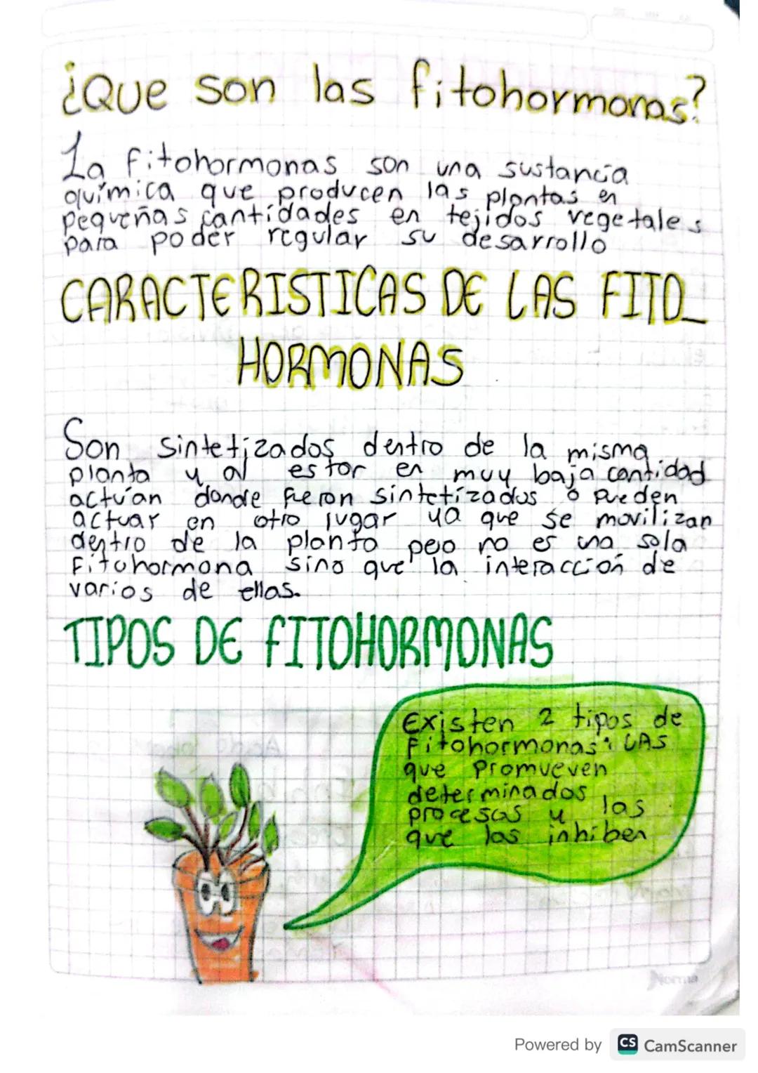 # ¿LAS PLANTAS TIENEN
HORMONAS?

Si, para procesos como el crecimiento
de la planta y la saiz, el contiol de
la caida de hojas, la formación