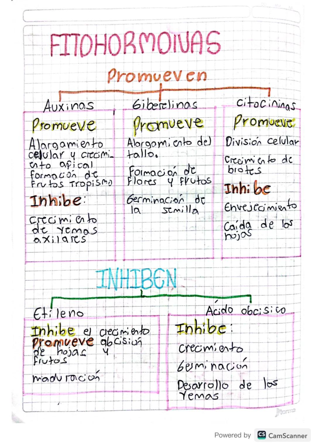 # ¿LAS PLANTAS TIENEN
HORMONAS?

Si, para procesos como el crecimiento
de la planta y la saiz, el contiol de
la caida de hojas, la formación