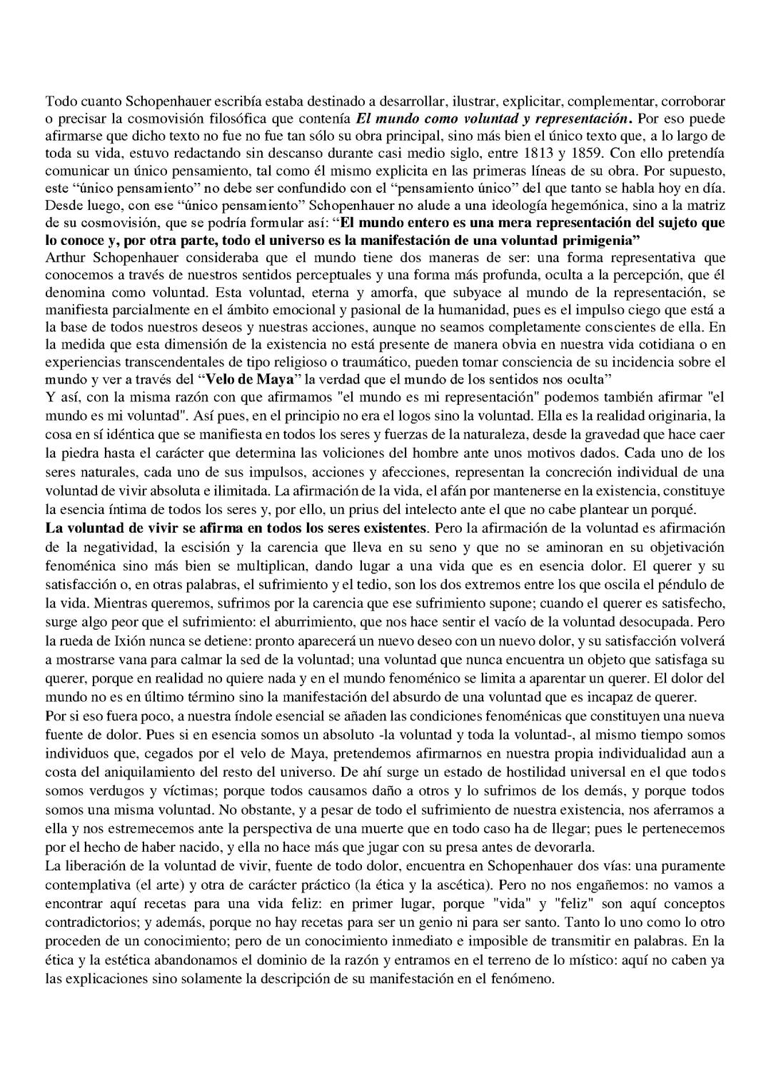 Ensayo de schopenhauer 