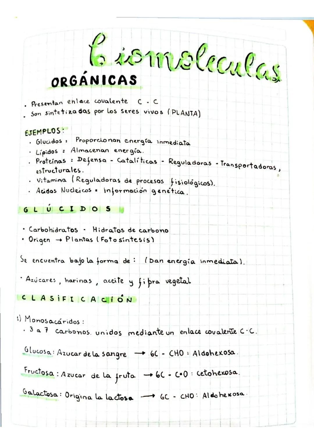 Biomoléculas orgánicas 