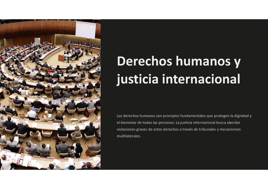 Derechos humanos y justicia internacional: 
