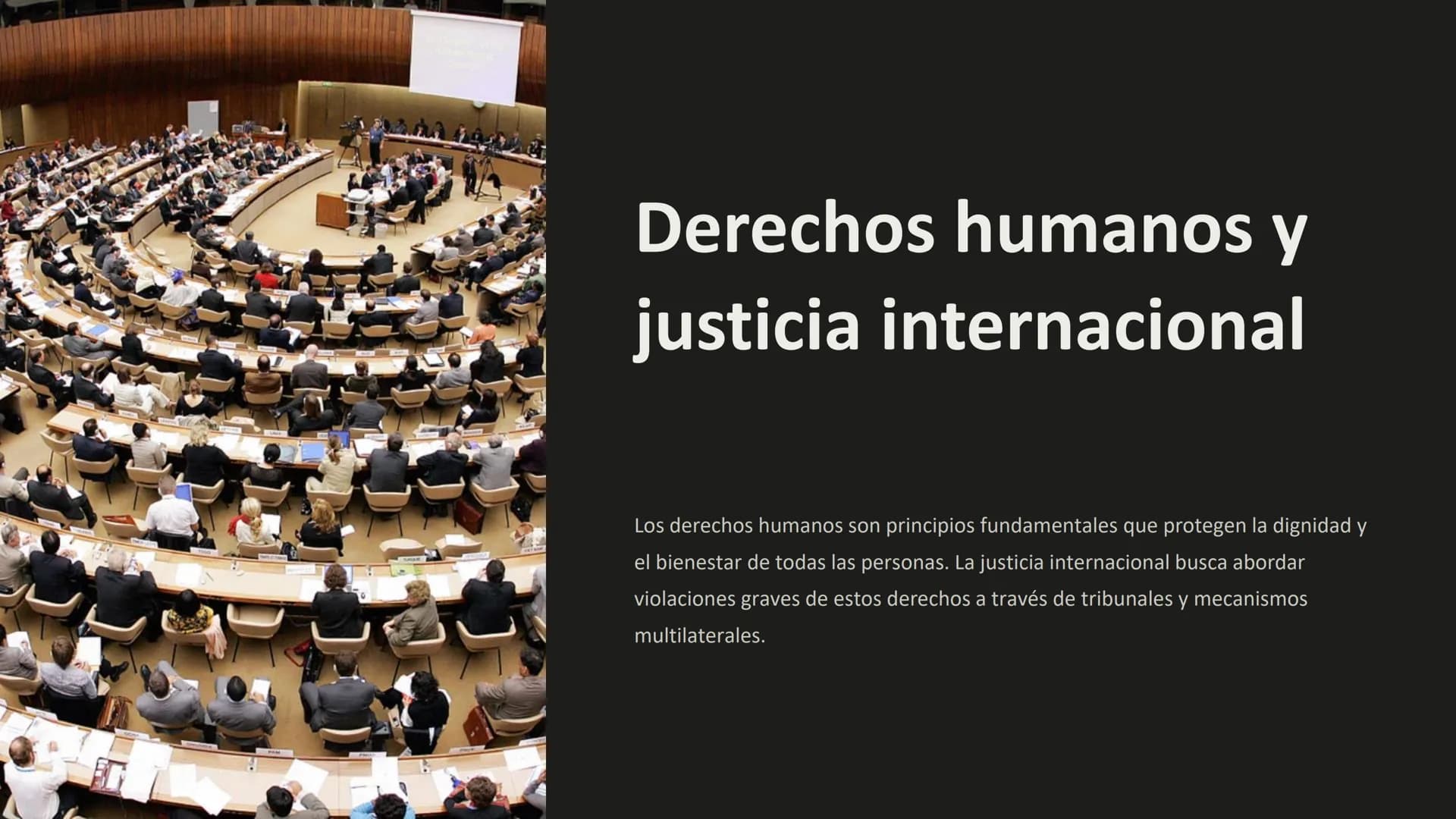 Derechos humanos y
justicia internacional
Los derechos humanos son principios fundamentales que protegen la dignidad y
el bienestar de todas