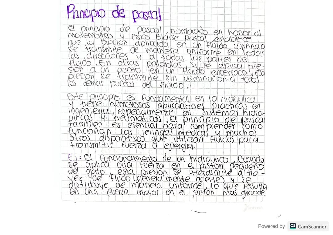 principio de pascal