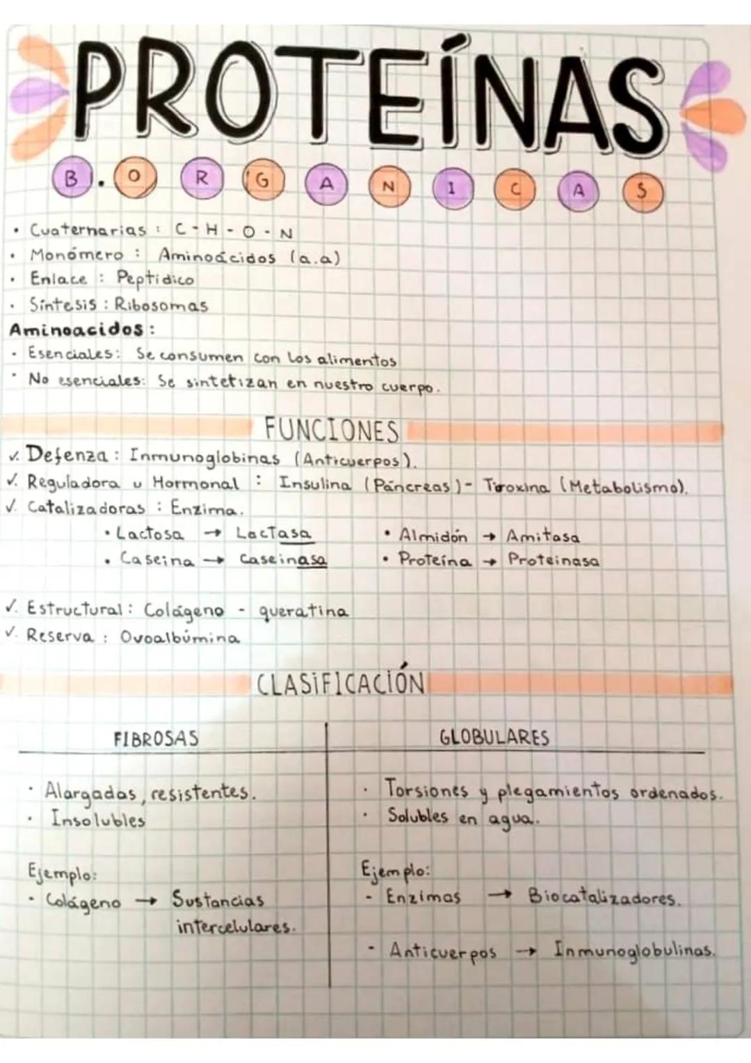 PROTEINAS
.
.
B
Cuaternarias
R
G
C-H-O-N
Monomero Aminoácidos (a.a)
Enlace: Peptidico
Sintesis: Ribosomas
Aminoacidos:
Esenciales: Se consum