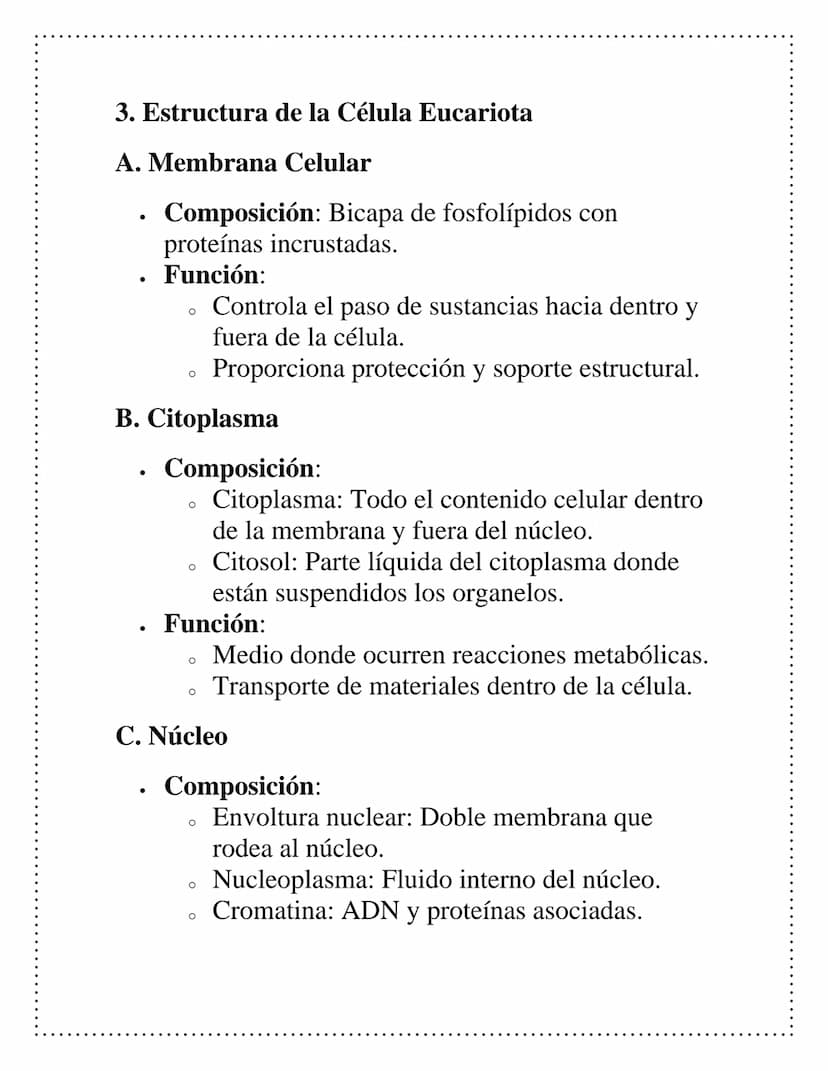 Estructura y
función celular
1. Introducción
•
Definición de célula: La célula es la unidad
básica estructural y funcional de los seres vivo