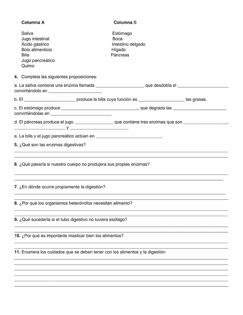 GUIA DE ACTIVIDADES BIOLOGIA: SISTEMA DIGESTIVO
NOMBRE DE ESTUDIANTE:
1. Completa el siguiente esquema con los órganos que corresponden:
GRA