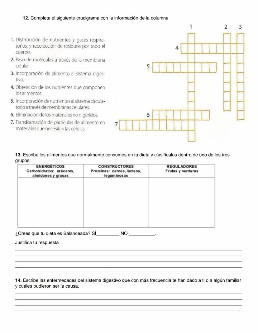 GUIA DE ACTIVIDADES BIOLOGIA: SISTEMA DIGESTIVO
NOMBRE DE ESTUDIANTE:
1. Completa el siguiente esquema con los órganos que corresponden:
GRA