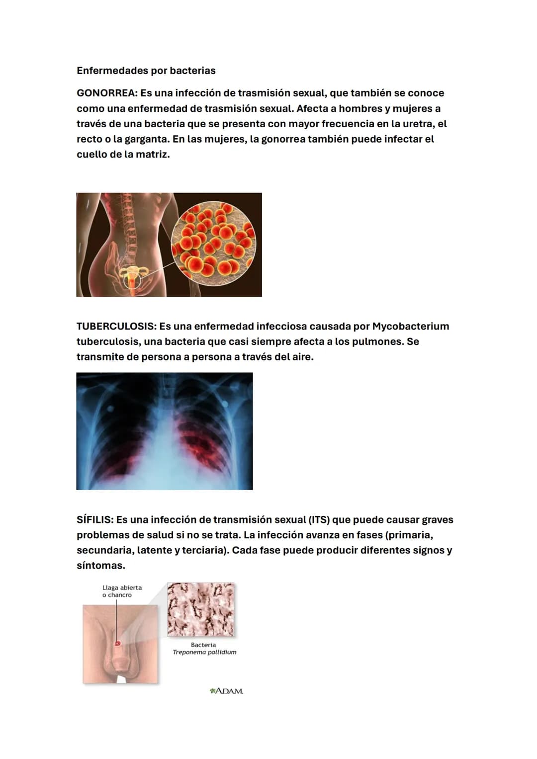 LA MICROBIOLOGÍA
¿Qué es la microbiología?
La microbiología es la rama de la ciencia que estudia los microorganismos,
también conocidos como