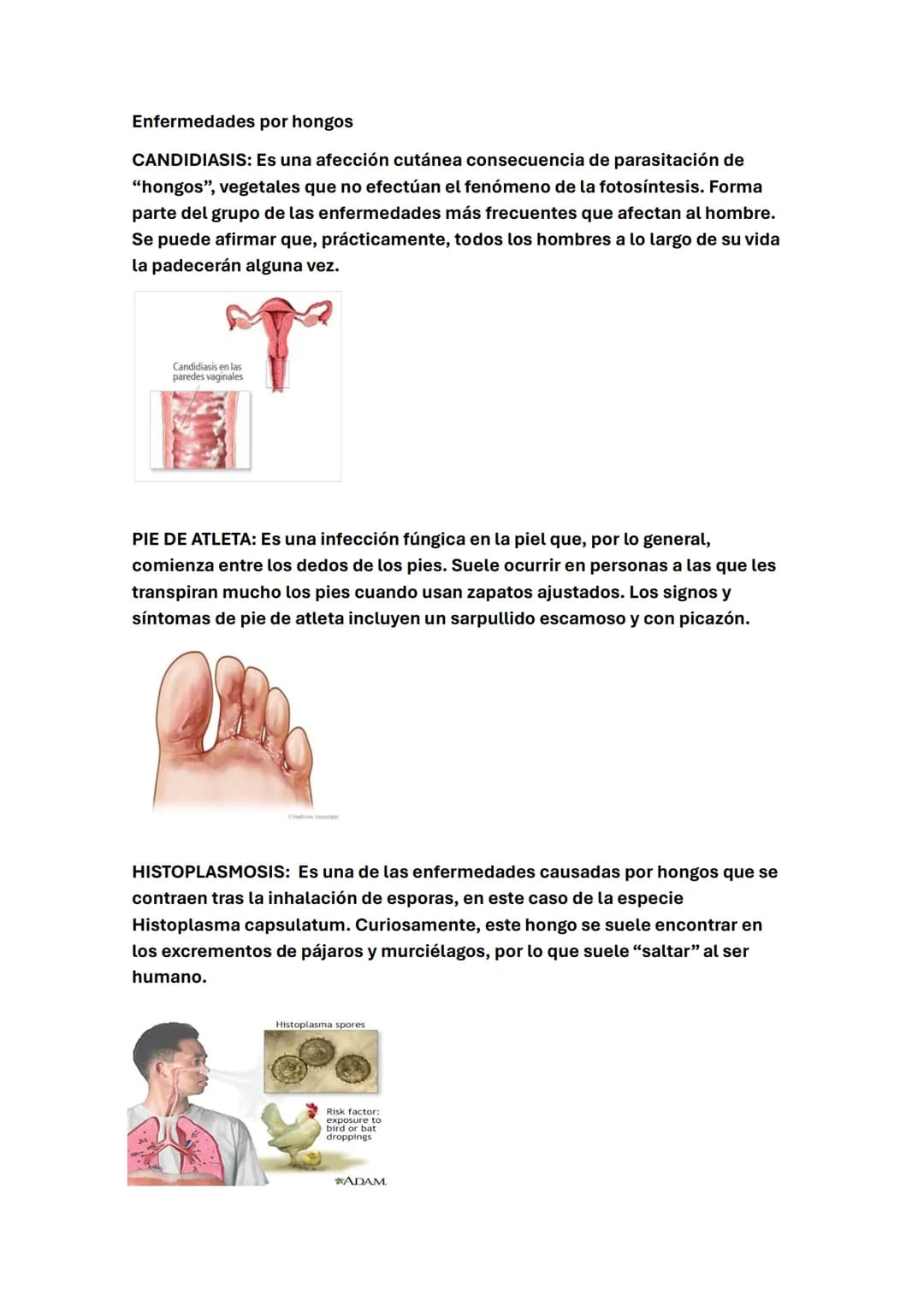 LA MICROBIOLOGÍA
¿Qué es la microbiología?
La microbiología es la rama de la ciencia que estudia los microorganismos,
también conocidos como