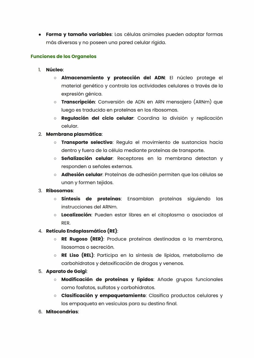 LA CELULA
¿Qué es una célula?
La célula es la unidad básica y funcional de todos los seres vivos. Es la estructura
más pequeña que puede lle