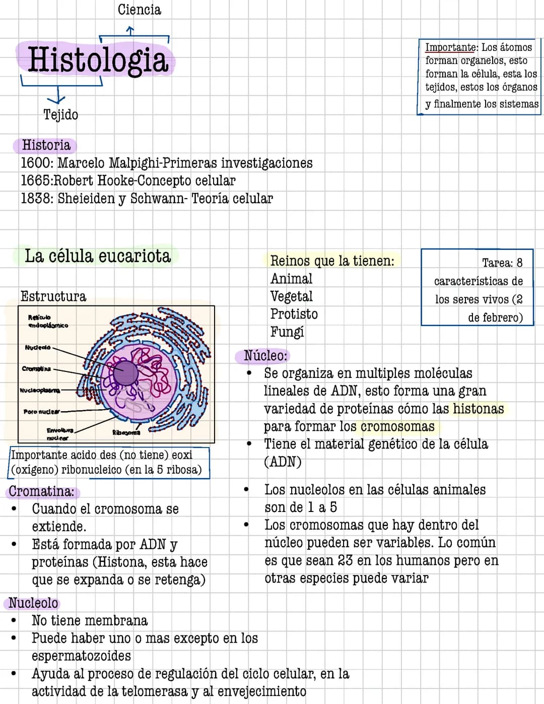 Celula y sus uniones 