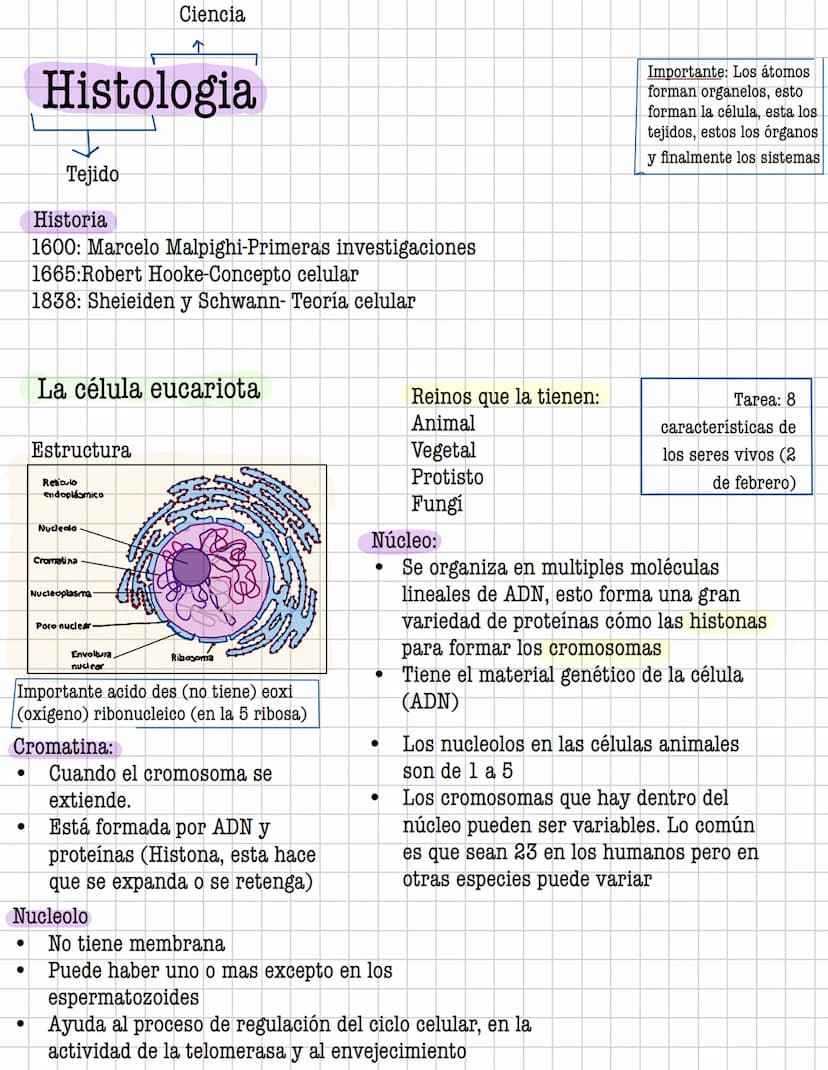 Ciencia
Histologia
Tejido
Historia
1600: Marcelo Malpighi-Primeras investigaciones
1665:Robert Hooke-Concepto celular
1838: Sheieiden y Schw