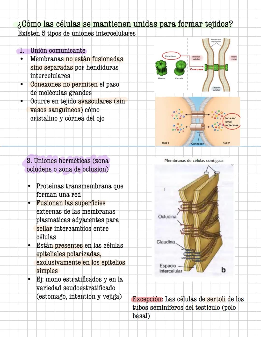 Ciencia
Histologia
Tejido
Historia
1600: Marcelo Malpighi-Primeras investigaciones
1665:Robert Hooke-Concepto celular
1838: Sheieiden y Schw