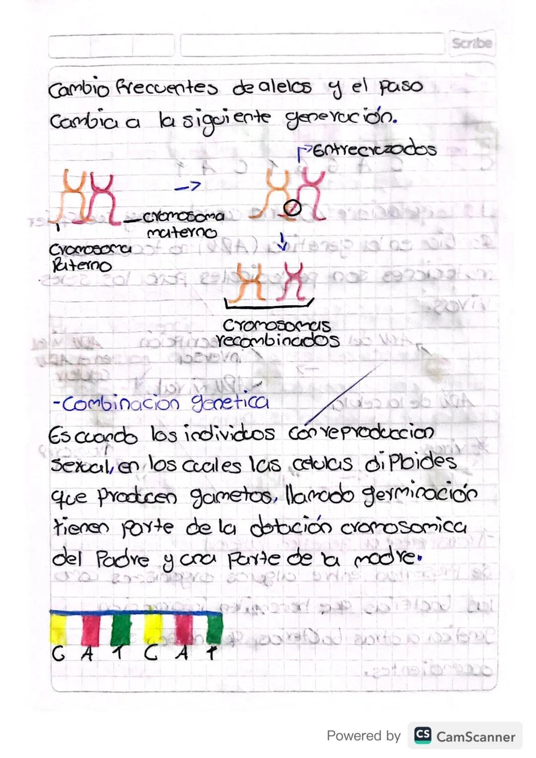 foontes de variabilidad genetica

Gracias a la Variabilidad genetica algunas

alelos en una poblacion sera chas frecuentes q.

otros en mome