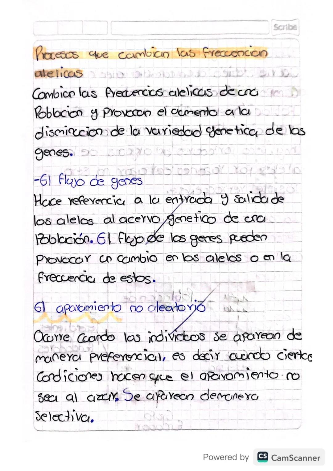 foontes de variabilidad genetica

Gracias a la Variabilidad genetica algunas

alelos en una poblacion sera chas frecuentes q.

otros en mome