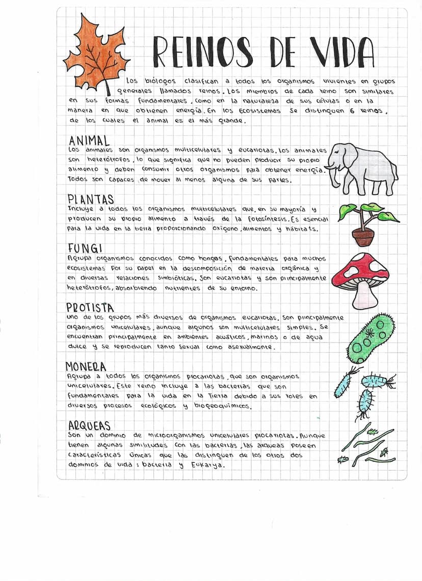 REINOS DE VIDA
Vivientes
Los biologos clasifican a todos los organismos
generales llamados reinos Los Miembros de cacla teino
en grupos
son 