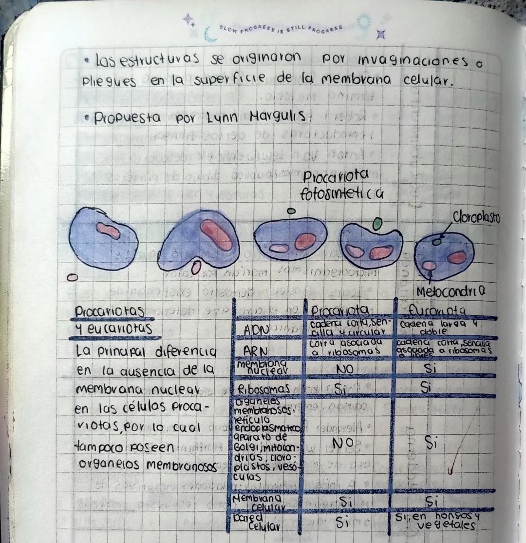 # MICROORGANISMO

Definiuón

grupo de organismos vivos que no son visibles a simple vista
siendo necesario el uso del microscopio como instr