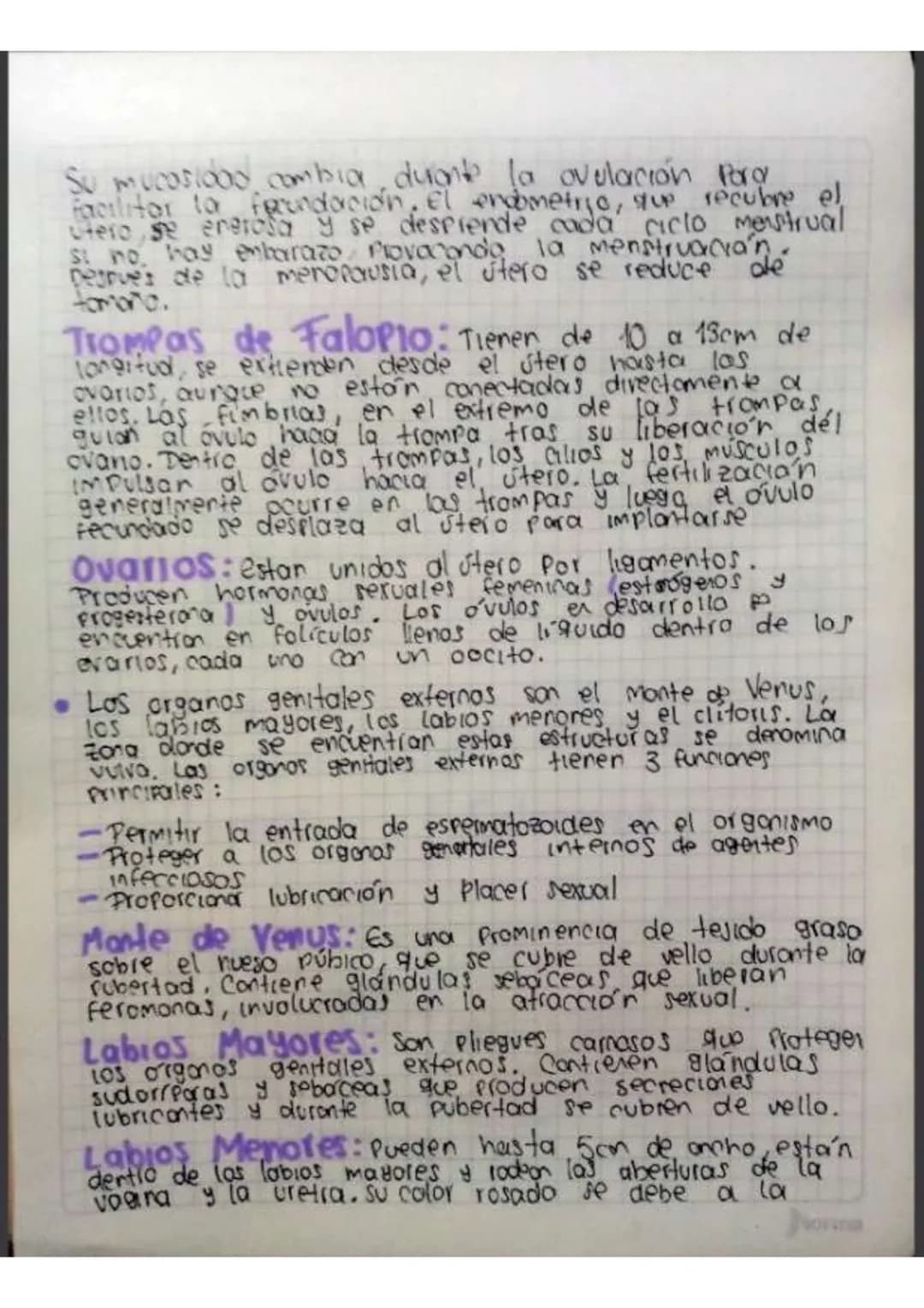 Contenido
• Introducción
•Temas de investigación
-elaras del desarrollo embrionano y del embarazo
Organos reproductivos masculinos y femenin