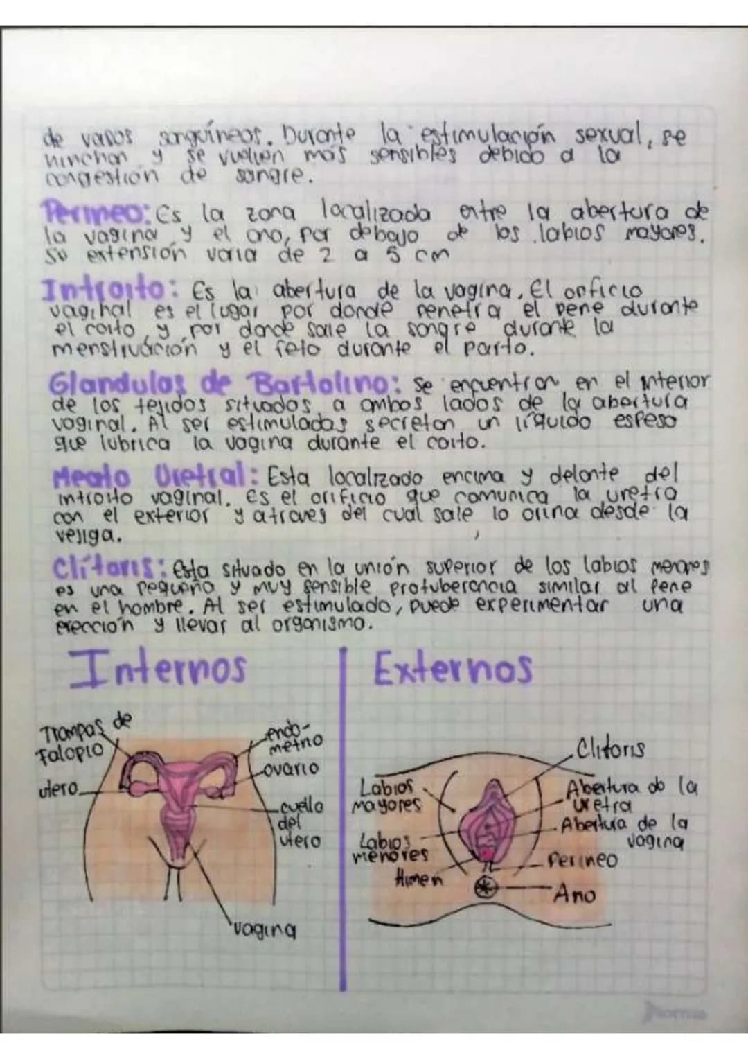 Contenido
• Introducción
•Temas de investigación
-elaras del desarrollo embrionano y del embarazo
Organos reproductivos masculinos y femenin