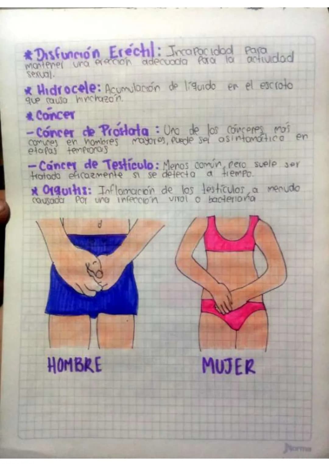 Contenido
• Introducción
•Temas de investigación
-elaras del desarrollo embrionano y del embarazo
Organos reproductivos masculinos y femenin