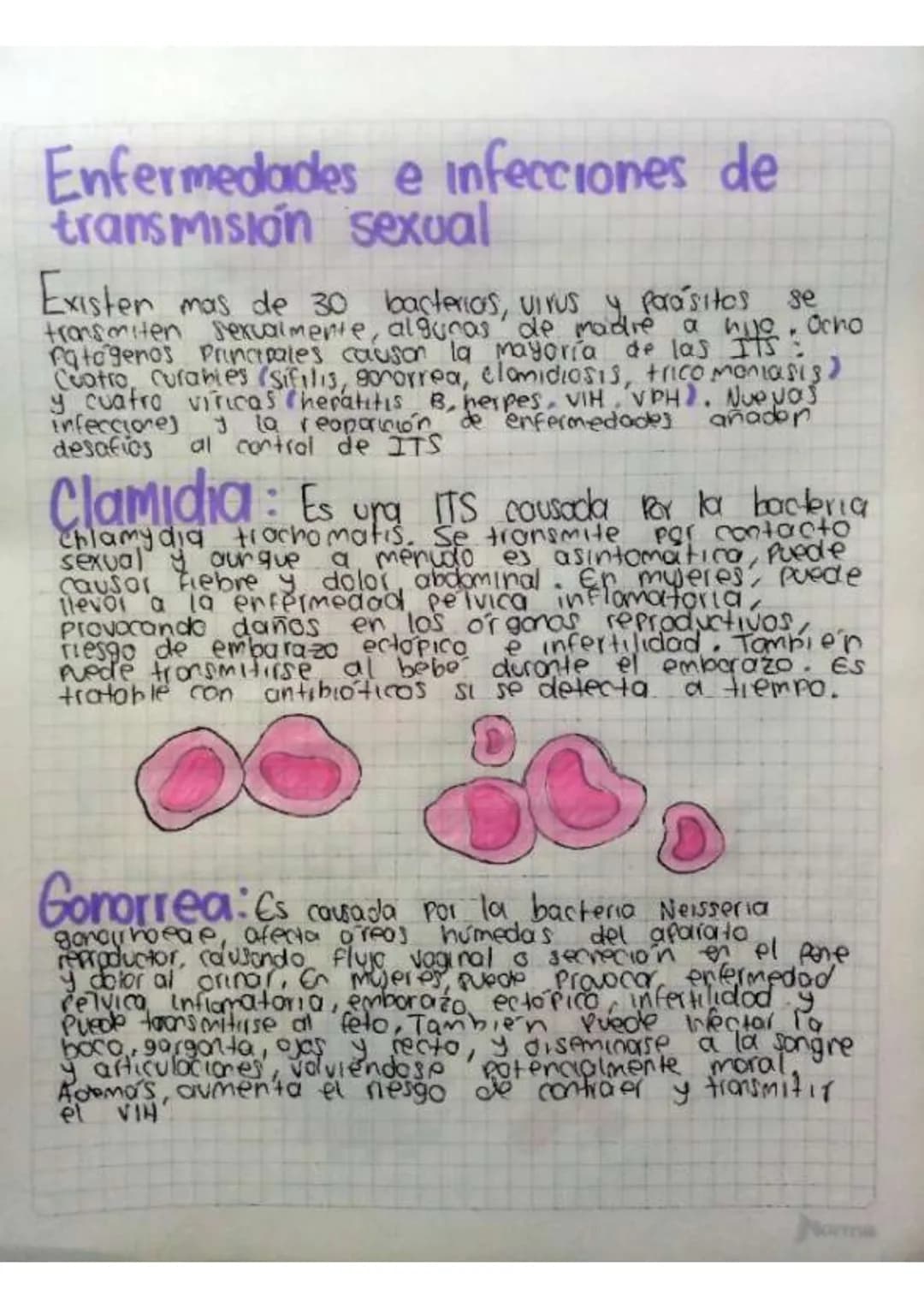 Contenido
• Introducción
•Temas de investigación
-elaras del desarrollo embrionano y del embarazo
Organos reproductivos masculinos y femenin