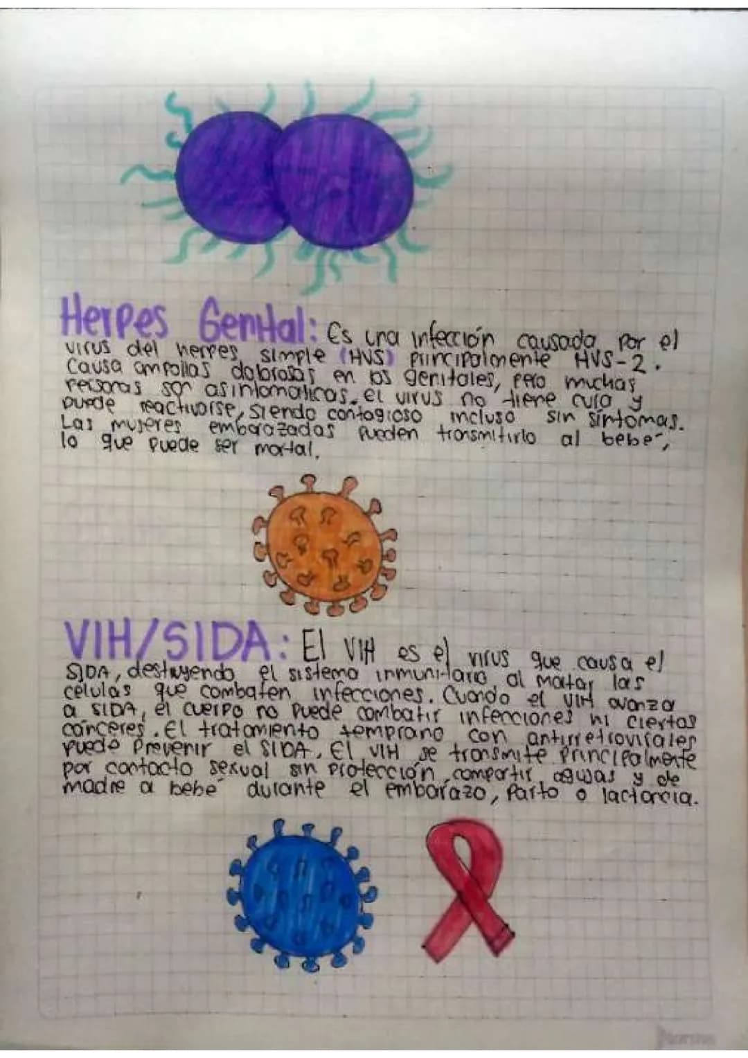 Contenido
• Introducción
•Temas de investigación
-elaras del desarrollo embrionano y del embarazo
Organos reproductivos masculinos y femenin