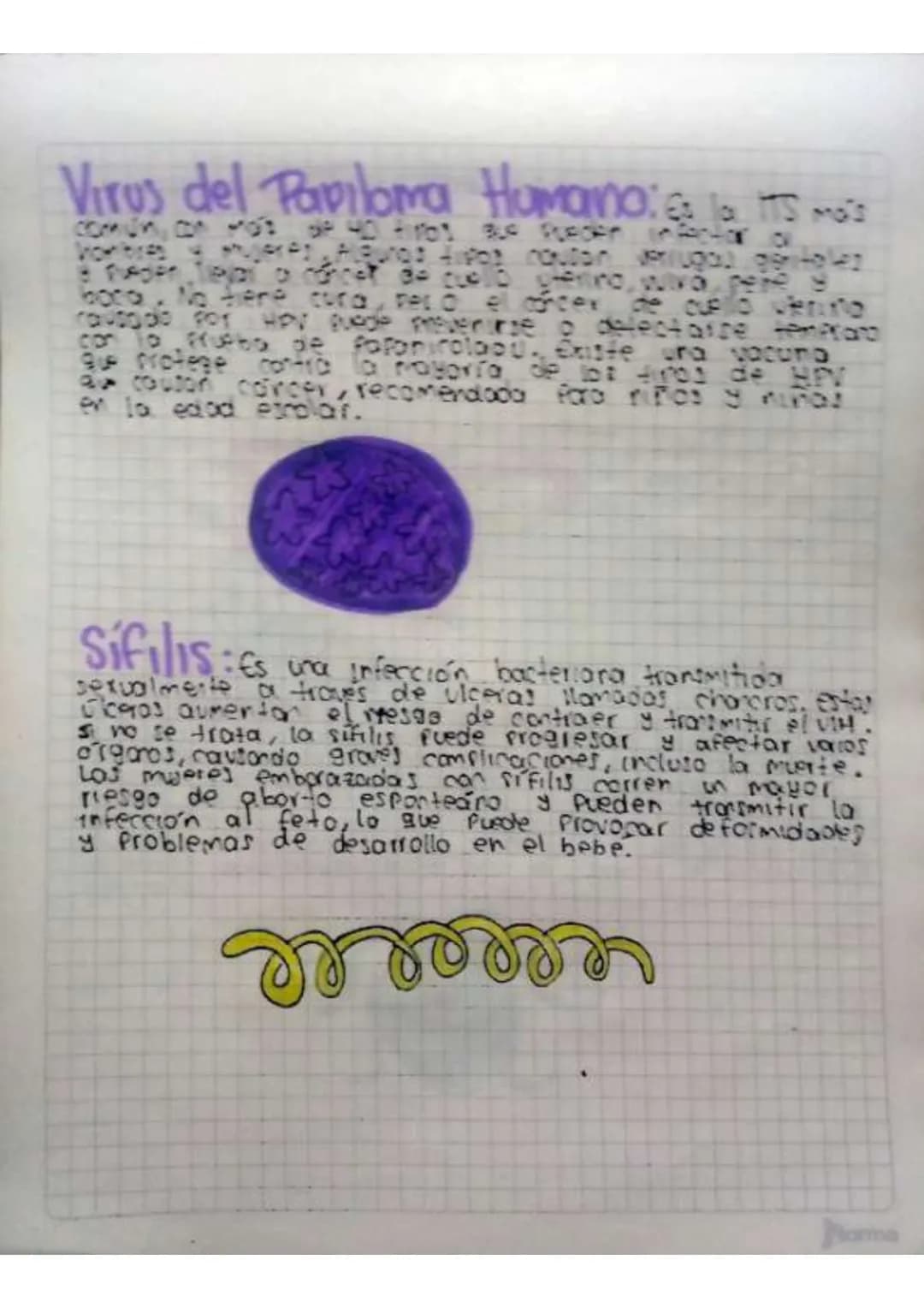 Contenido
• Introducción
•Temas de investigación
-elaras del desarrollo embrionano y del embarazo
Organos reproductivos masculinos y femenin