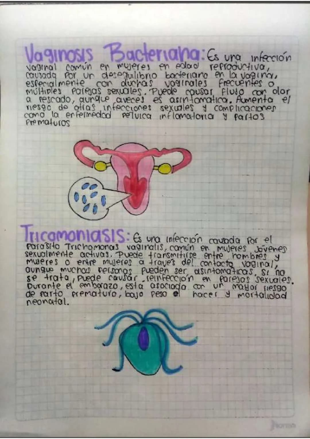 Contenido
• Introducción
•Temas de investigación
-elaras del desarrollo embrionano y del embarazo
Organos reproductivos masculinos y femenin