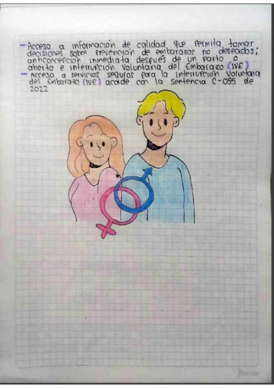 Contenido
• Introducción
•Temas de investigación
-elaras del desarrollo embrionano y del embarazo
Organos reproductivos masculinos y femenin