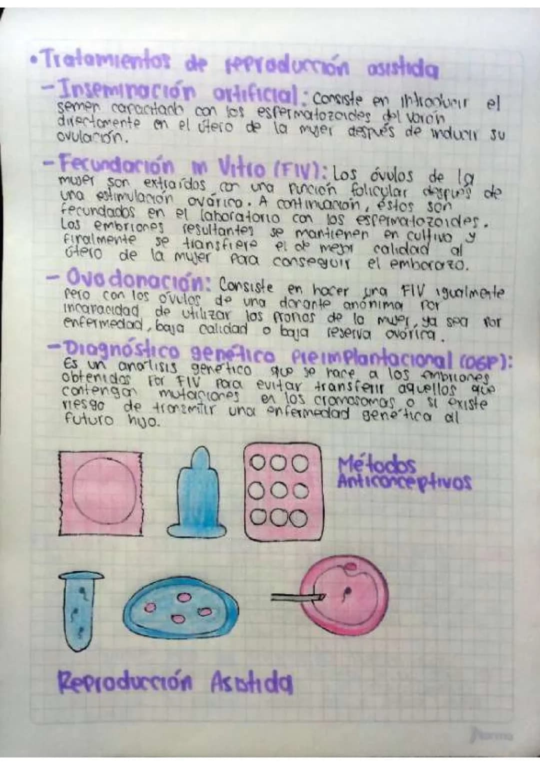Contenido
• Introducción
•Temas de investigación
-elaras del desarrollo embrionano y del embarazo
Organos reproductivos masculinos y femenin